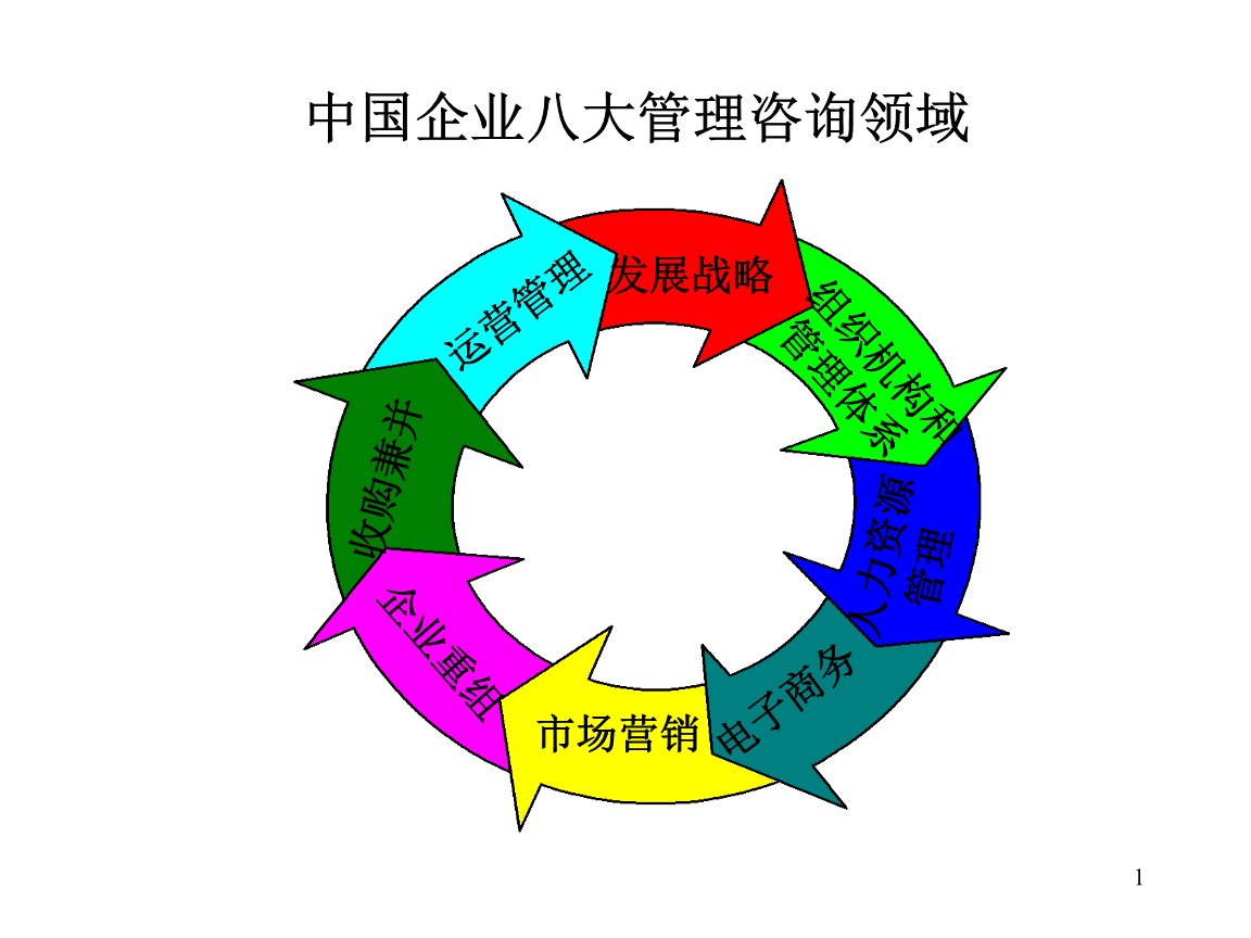 中国企业管妙理咨询提要.ppt